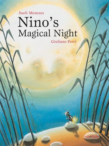 Cover for Sueli Menezes · Nino's Magical Night (Hardcover Book) (2014)