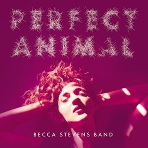 Perfect Animal - Becca Stephens Band - Musik - WORLD MUSIC - 0602547242754 - 7. April 2015
