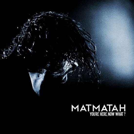 Cover for Matmatah · You're Here, Now What? (LP) (2019)
