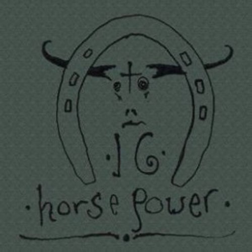 Cover for 16 Horsepower · De-Railed/My Narrow Mind (live) (LP) (2021)