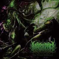 Cover for Maleceptor · The Flesh Harvest (CD) [Japan Import edition] (2018)