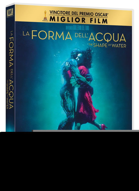 Cover for Forma Dell'acqua (La) (DVD) (2018)