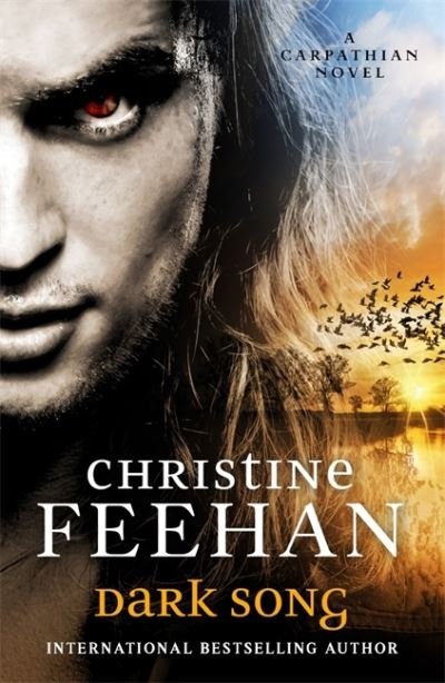 Cover for Christine Feehan · Dark Song (Pocketbok) (2020)
