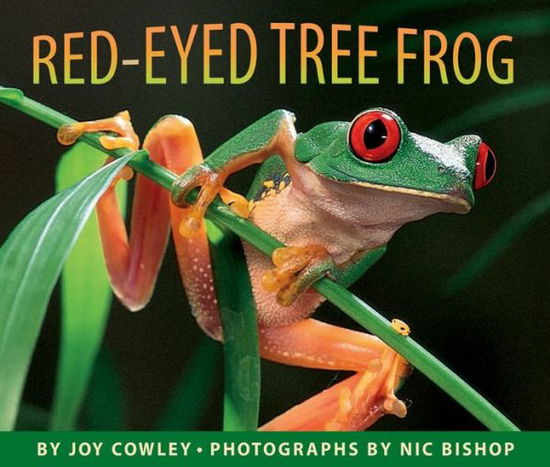 Cover for Joy Cowley · Red-eyed Tree Frog (Hardcover Book) [1st edition] (1999)