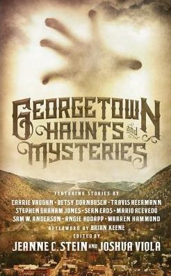 Cover for Jeanne C Stein · Georgetown Haunts and Mysteries (Paperback Book) (2017)