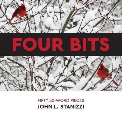 Cover for John L Stanizzi · Four Bits (Paperback Book) (2018)