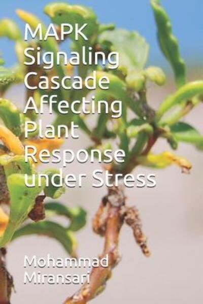 Cover for Mohammad Miransari · MAPK Signaling Cascade Affecting Plant Response under Stress (Paperback Book) (2019)