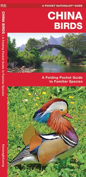 Cover for James Kavanagh · China Birds: A Folding Pocket Guide to Familiar Species (Pamphlet) (2017)