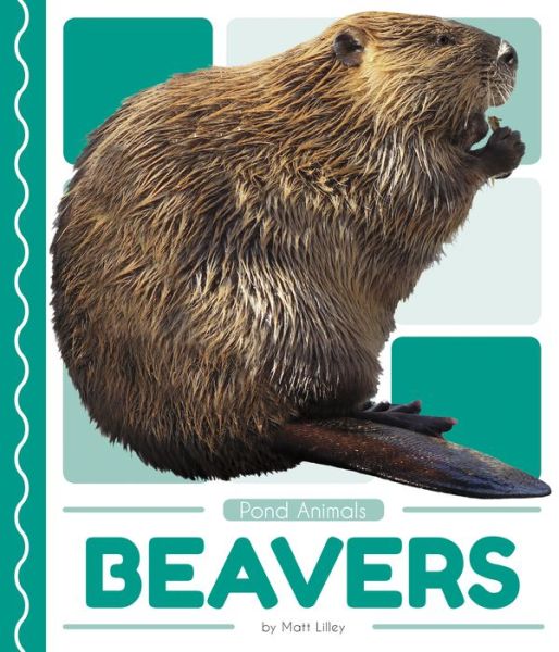 Cover for Matt Lilley · Beavers - Pond Animals (Paperback Book) (2019)