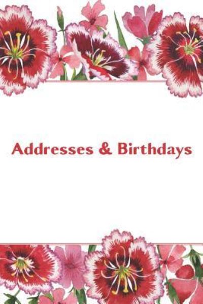 Addresses & Birthdays - Andante Press - Books - Independently Published - 9781794063754 - January 14, 2019