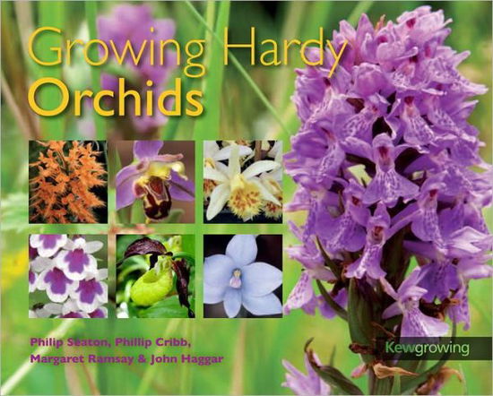 Cover for Philip Seaton · Growing Hardy Orchids - Kew Growing (Paperback Book) [UK edition] (2011)