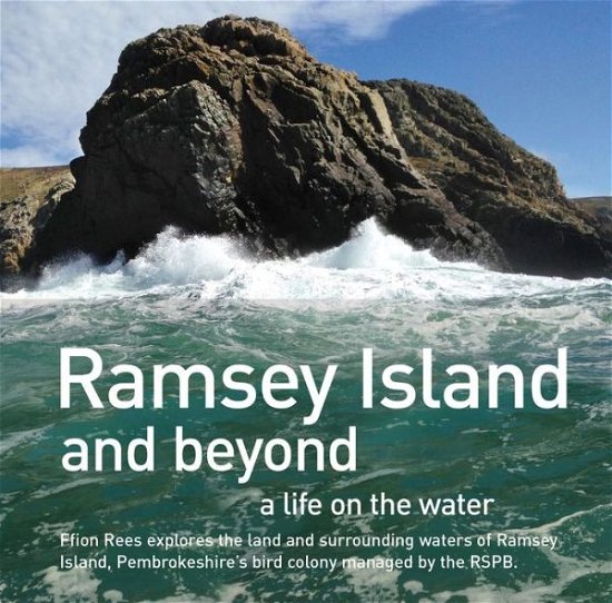 Cover for Ffion Rees · Ramsey Island (Hardcover Book) (2017)