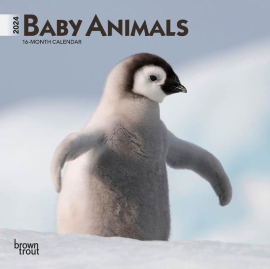 Cover for Baby Animals 2024 Mini 7x7 (Paperback Book) (2023)