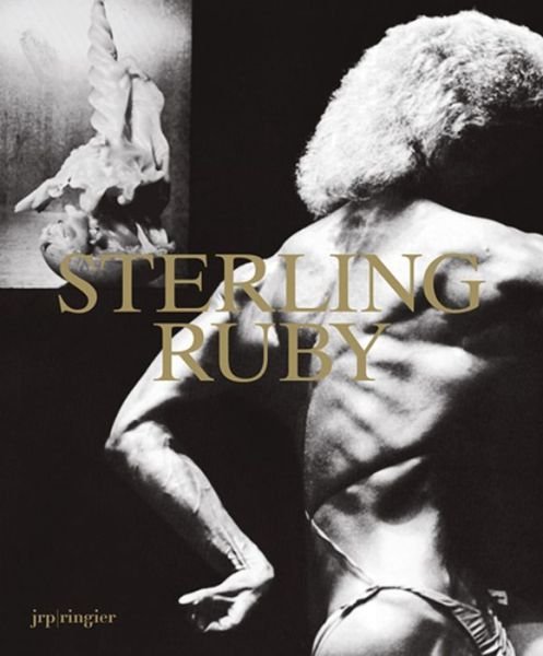 Cover for Robert Hobbs · Sterling Ruby (Paperback Book) [2 Revised edition] (2014)