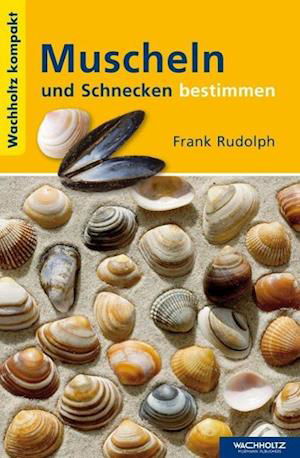 Cover for Rudolph · Muscheln und Schnecken bestimme (Bok)