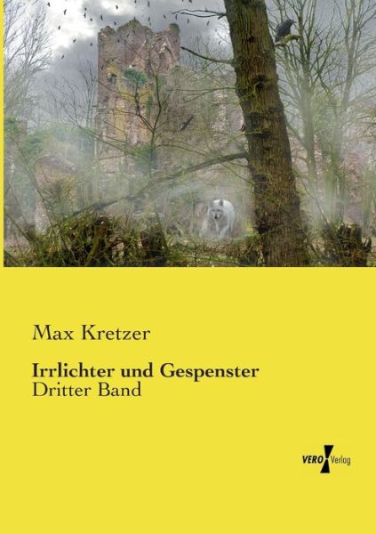 Cover for Max Kretzer · Irrlichter Und Gespenster (Paperback Book) (2019)