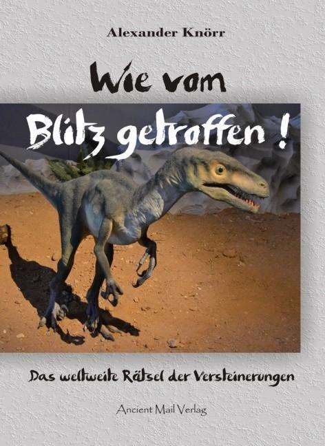 Cover for Knörr · Wie vom Blitz getroffen! (Book)