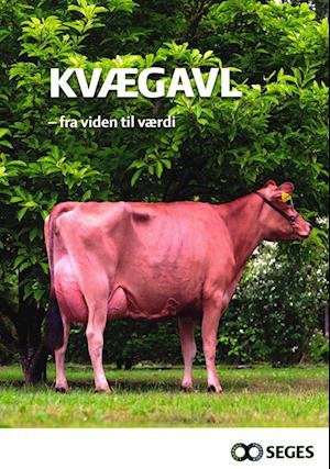 Cover for Jens Christian Holgaard · Kvægavl (Sewn Spine Book) [3rd edition] (2022)