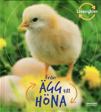 Cover for Camilla De la Bédoyère · Från ägg till höna (Indbundet Bog) (2020)