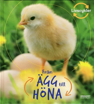 Från ägg till höna - Camilla De la Bédoyère - Livros - Ordalaget Bokförlag - 9789174692754 - 19 de fevereiro de 2020