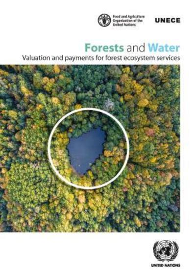 Cover for United Nations: Economic Commission for Europe · Forests and water: valuation and payments for forest ecosystem services (Paperback Book) (2019)