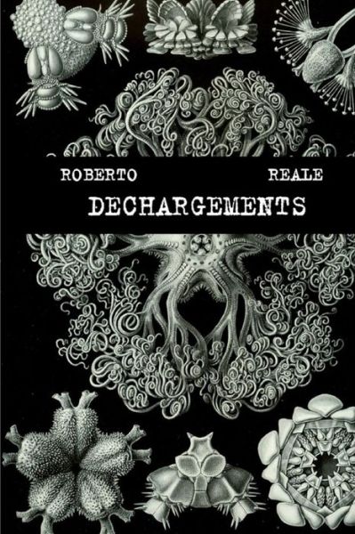 Cover for Roberto Reale · D chargements (Paperback Book) (2018)