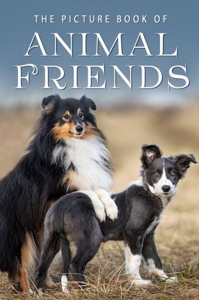 Cover for Sunny Street Books · The Picture Book of Animal Friends (Paperback Book) (2020)