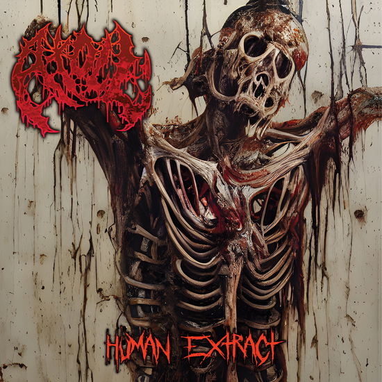 Human Extract - Atoll - Music - MEMBRAN - 0197188687755 - August 25, 2023