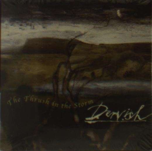 Cover for Dervish · The Thrush in the Storm (CD) (2013)