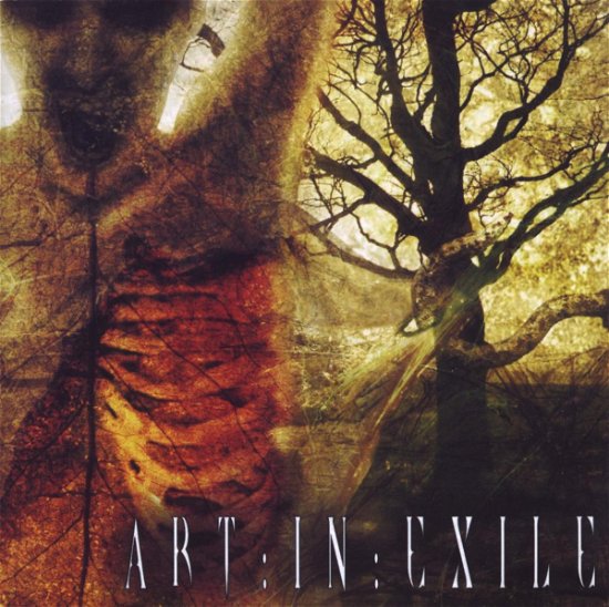 Art in Exile - Art In Exile - Musiikki - CASKET - 5060047113755 - maanantai 30. kesäkuuta 2008