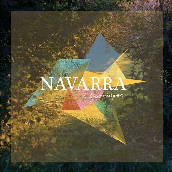 Cover for Navarra · I Ljusningen (CD) (2020)