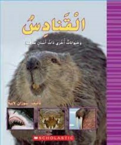 Cover for Scholastic · Beavers &amp; Other Animals with Amazing Tee - My Arabic Library (Taschenbuch) (2018)