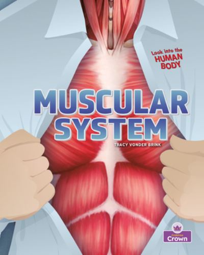 Cover for Tracy Vonder Brink · Muscular System - Looking into the Human Body (Paperback Book) (2023)