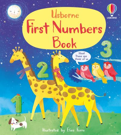 Cover for Mary Cartwright · First Numbers Book - First Concepts (Board book) (2021)