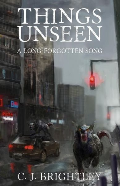 Cover for C J Brightley · Things Unseen (Paperback Book) (2014)