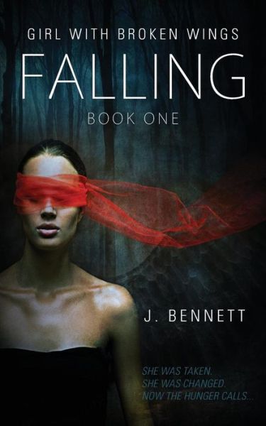 Cover for J Bennett · Falling (Pocketbok) (2015)