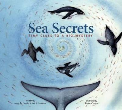 Cover for Mary M. Cerullo · Sea Secrets: Tiny Clues to a Big Mystery (Paperback Book) (2015)