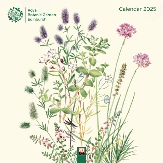 Royal Botanic Garden Edinburgh Wall Calendar 2025 (Art Calendar) -  - Produtos - Flame Tree Publishing - 9781835620755 - 18 de junho de 2024