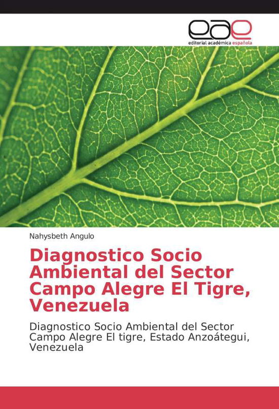 Cover for Angulo · Diagnostico Socio Ambiental del (Book)