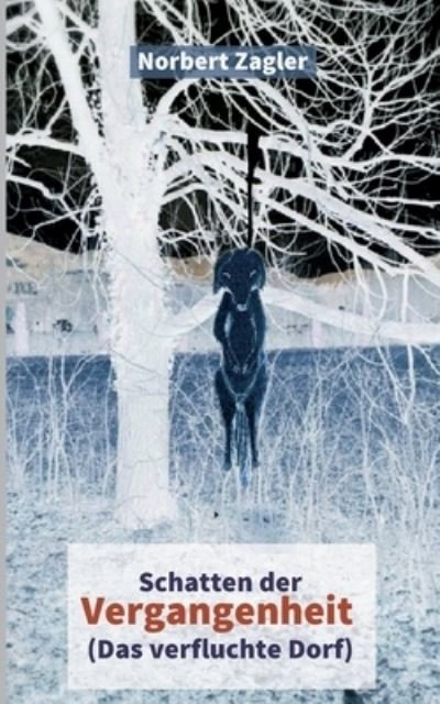 Cover for Norbert Zagler · Schatten der Vergangenheit - Das verfluchte Dorf (Pocketbok) (2021)
