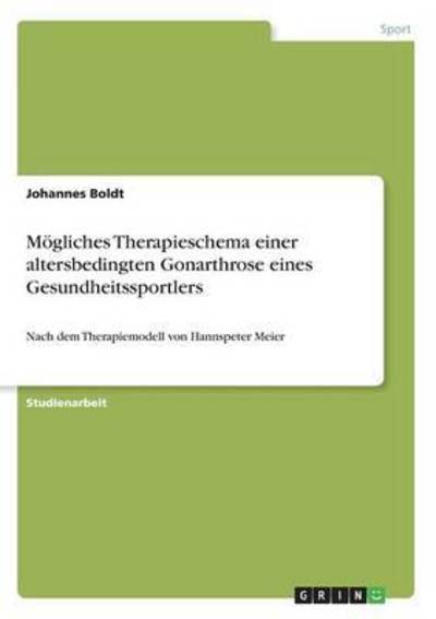 Cover for Boldt · Mögliches Therapieschema einer al (Book) (2016)