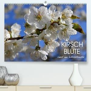 Kirschblüte rund um Witzenhausen - Löwer - Bøger -  - 9783672476755 - 