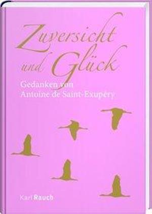 Cover for Saint-Exupéry · Zuversicht und Glück (Bok)