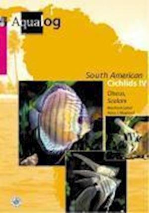 Martin Gobel · Aqualog South American Cichlids IV (Innbunden bok) (1998)