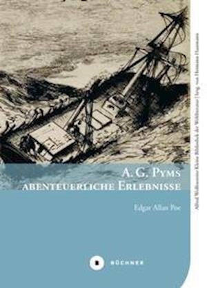 Cover for Edgar Allan Poe · A. G. Pyms abenteuerliche Erlebnisse (Hardcover bog) (2022)