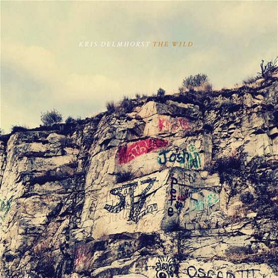 Cover for Kris Delmhorst · The Wild (LP) (2022)
