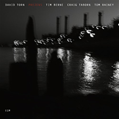 Cover for David Torn · Prezens (CD) (2007)