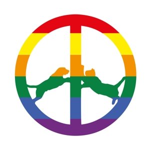 Cover for Hype Williams · Rainbow Edition (LP) [Standard edition] (2017)