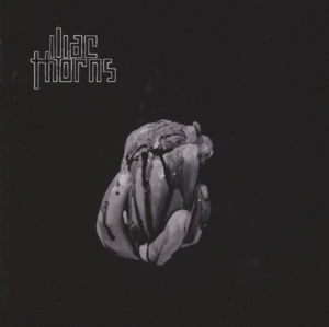 Cover for Iliac Thorns · It (CD) (2013)