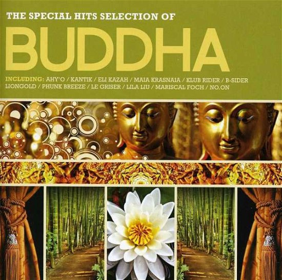 Buddha - Varios Interpretes - Muziek - MBB - 7798141335756 - 27 januari 2012